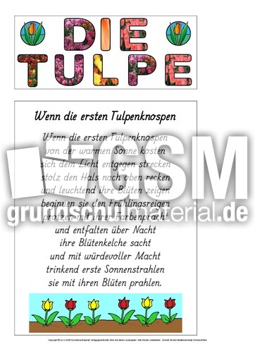 Titelseite-Tulpe-Lapbook-1.pdf